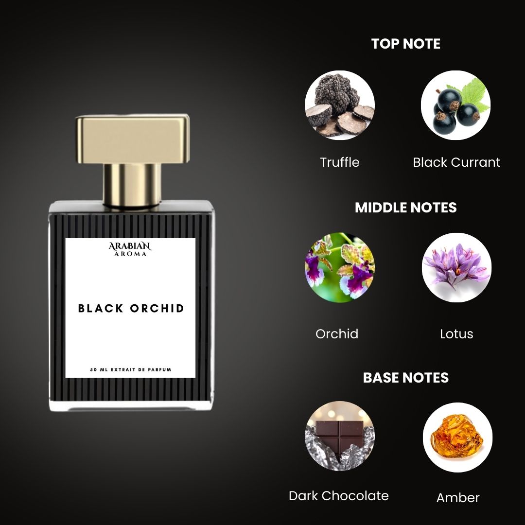 Arabian Aroma TF Black Orchid