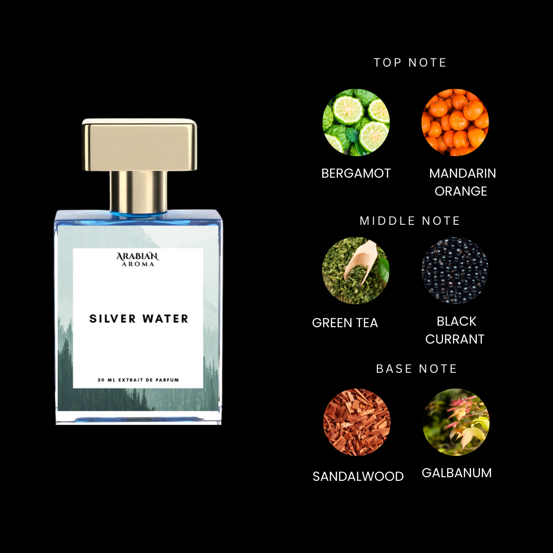 Silver Mountain Water