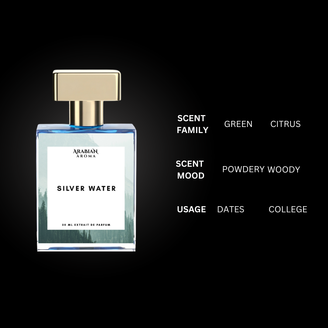 Silver Mountain Water