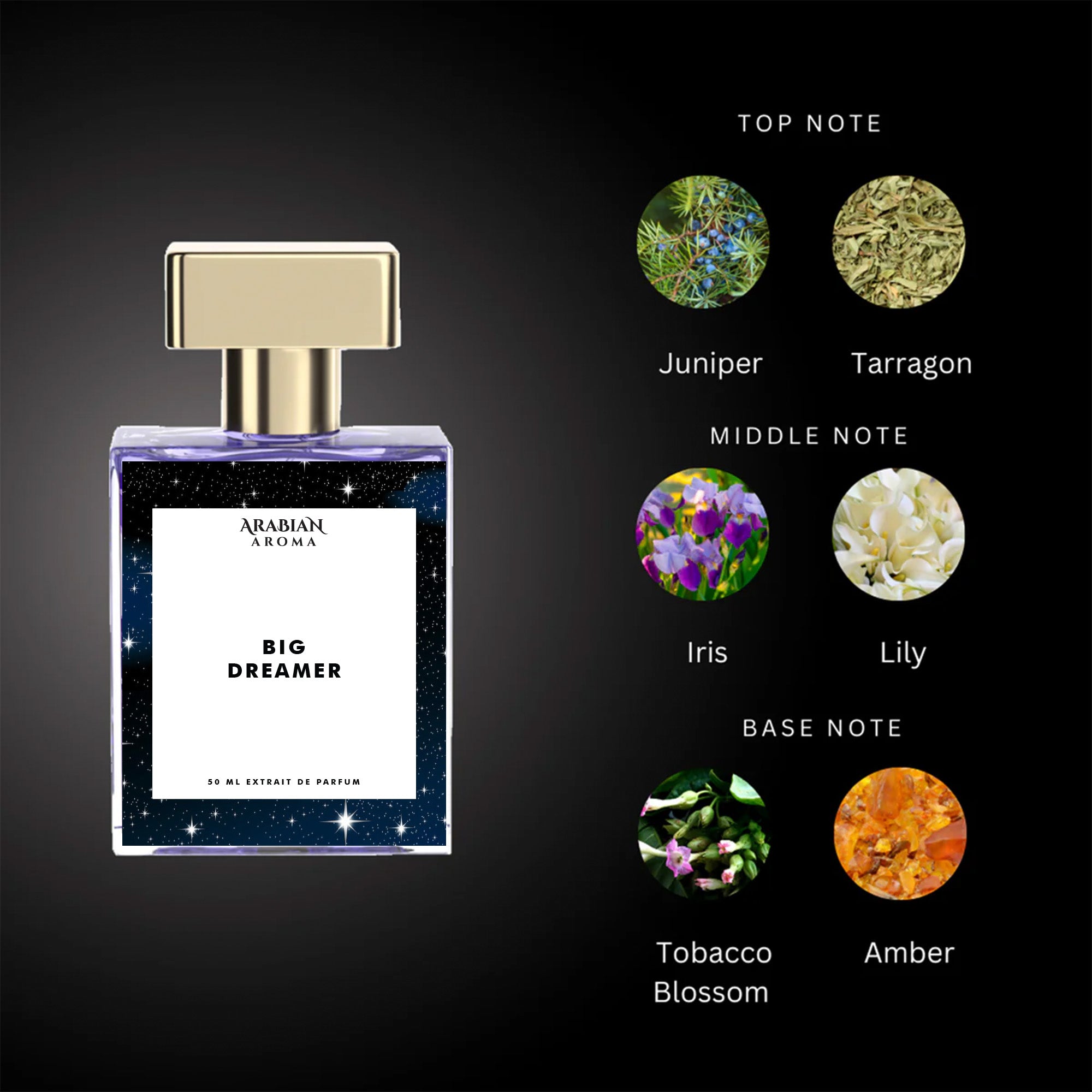 Arabian Aroma Big Dreamer