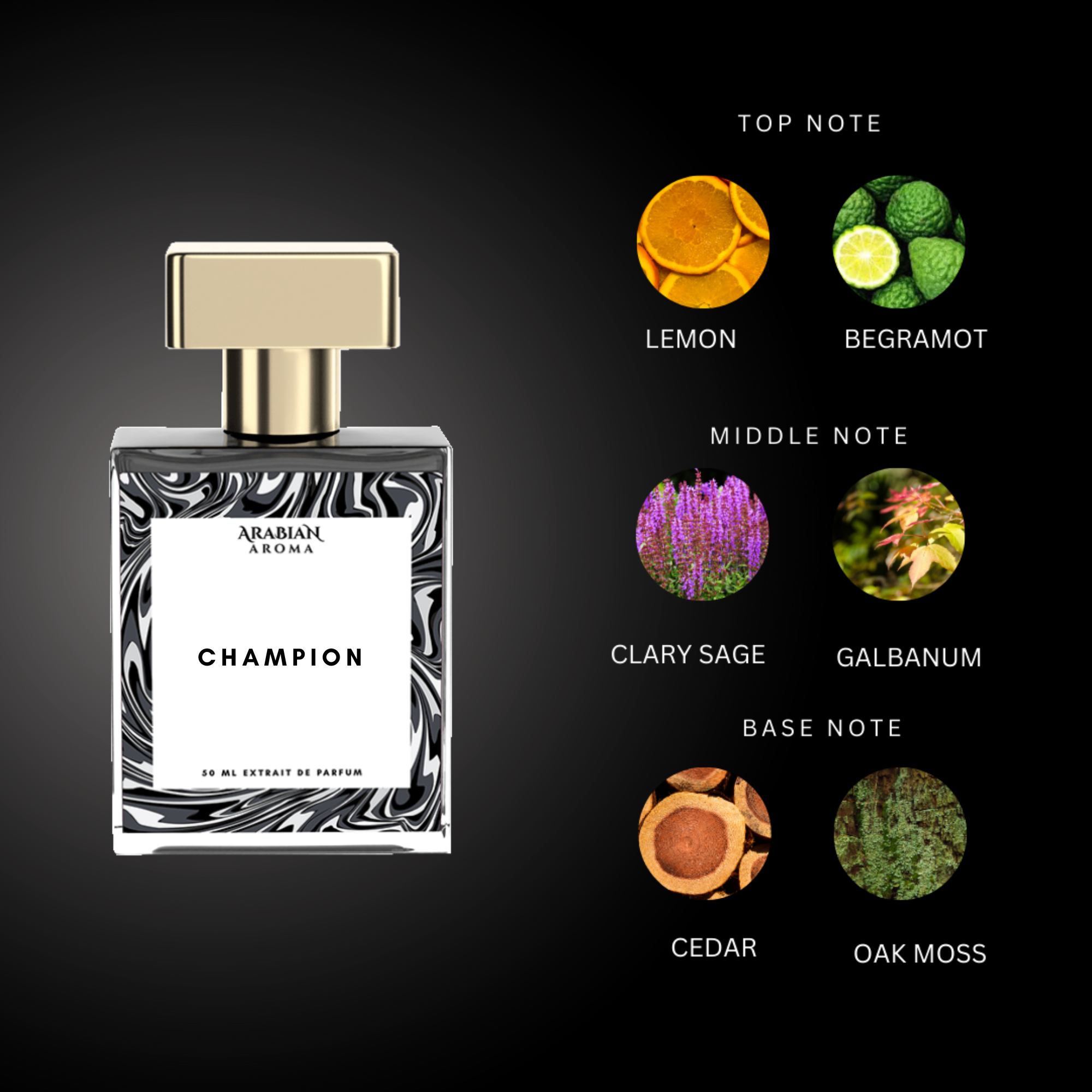 Arabian Aroma Champion