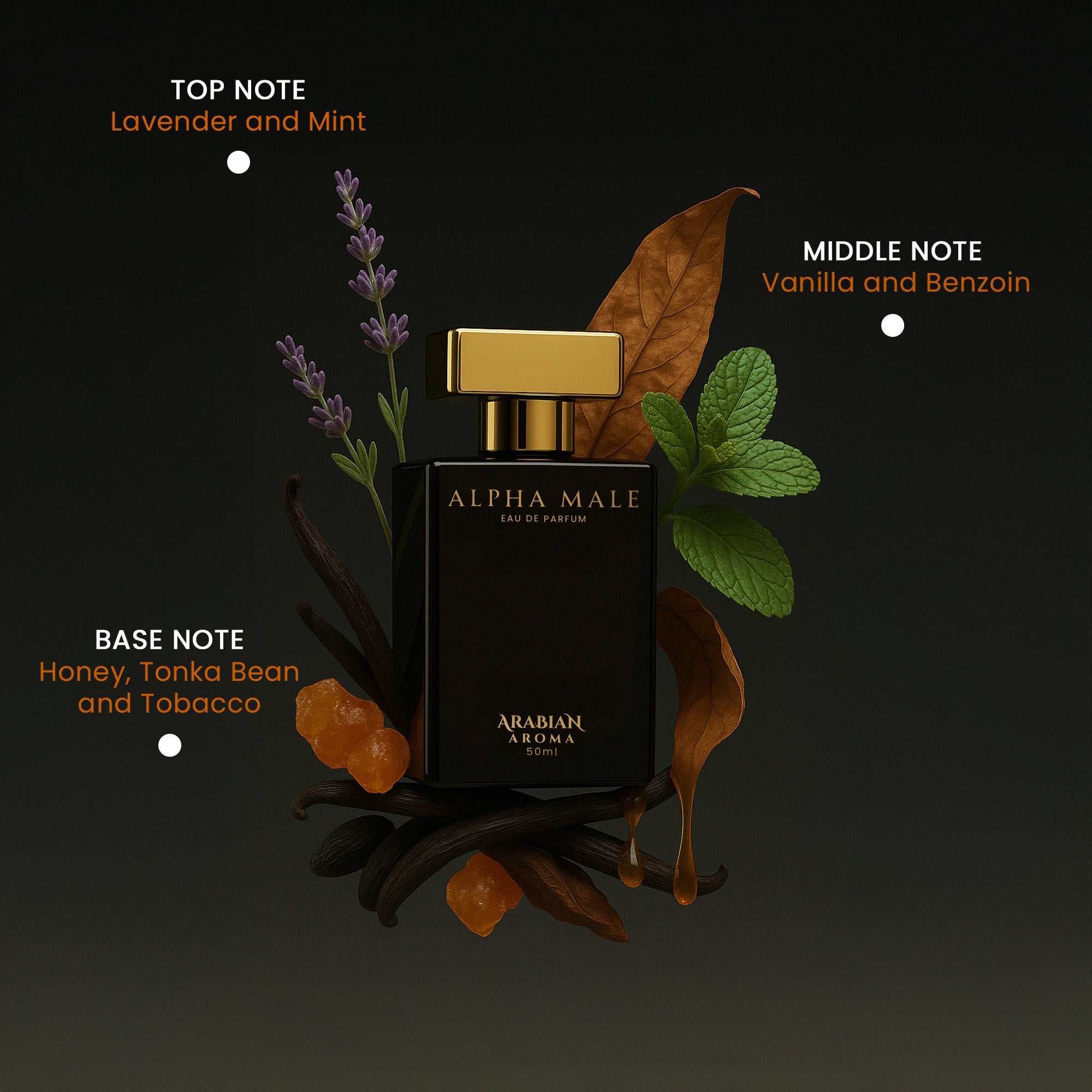ARABIAN AROMA ALPHA MALE