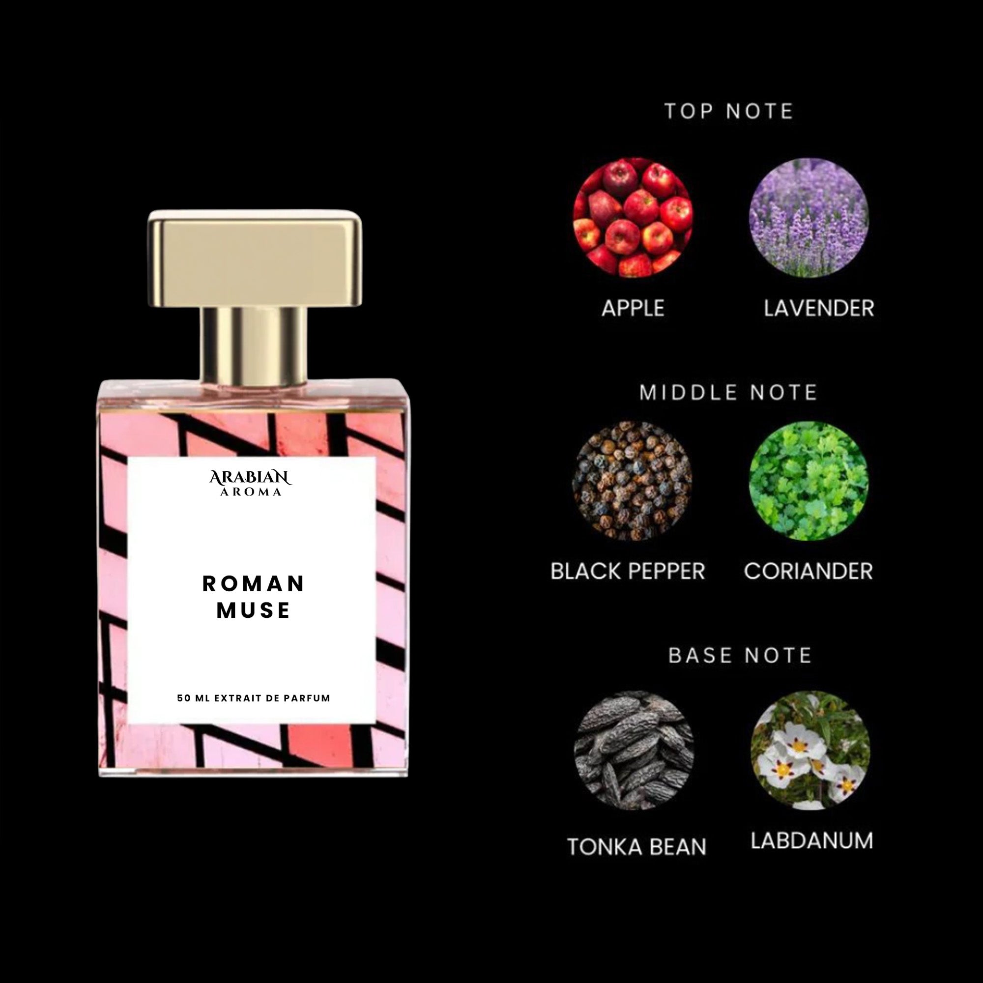 ARABIAN AROMA ROMAN MUSE