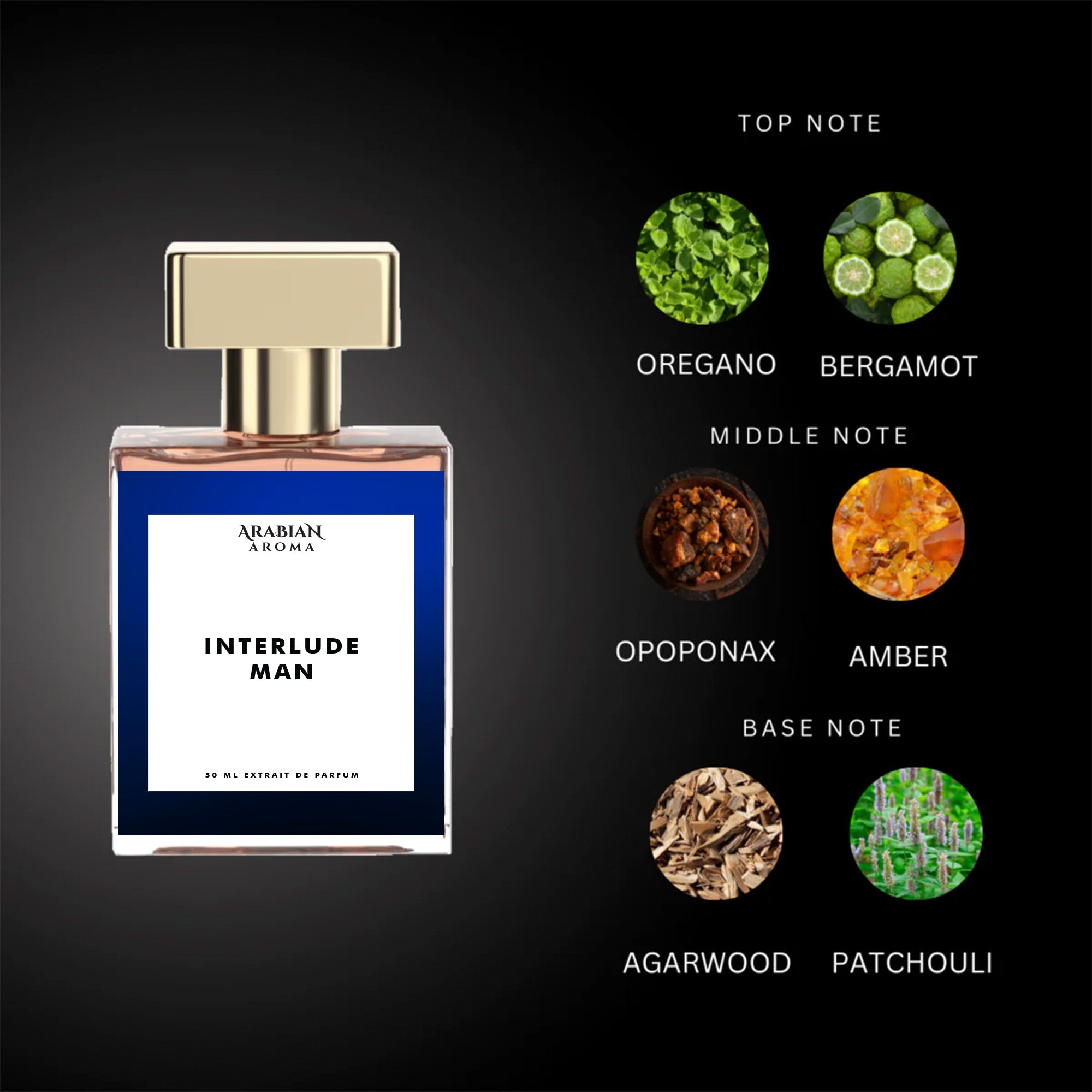 Arabian Aroma Interlude Man