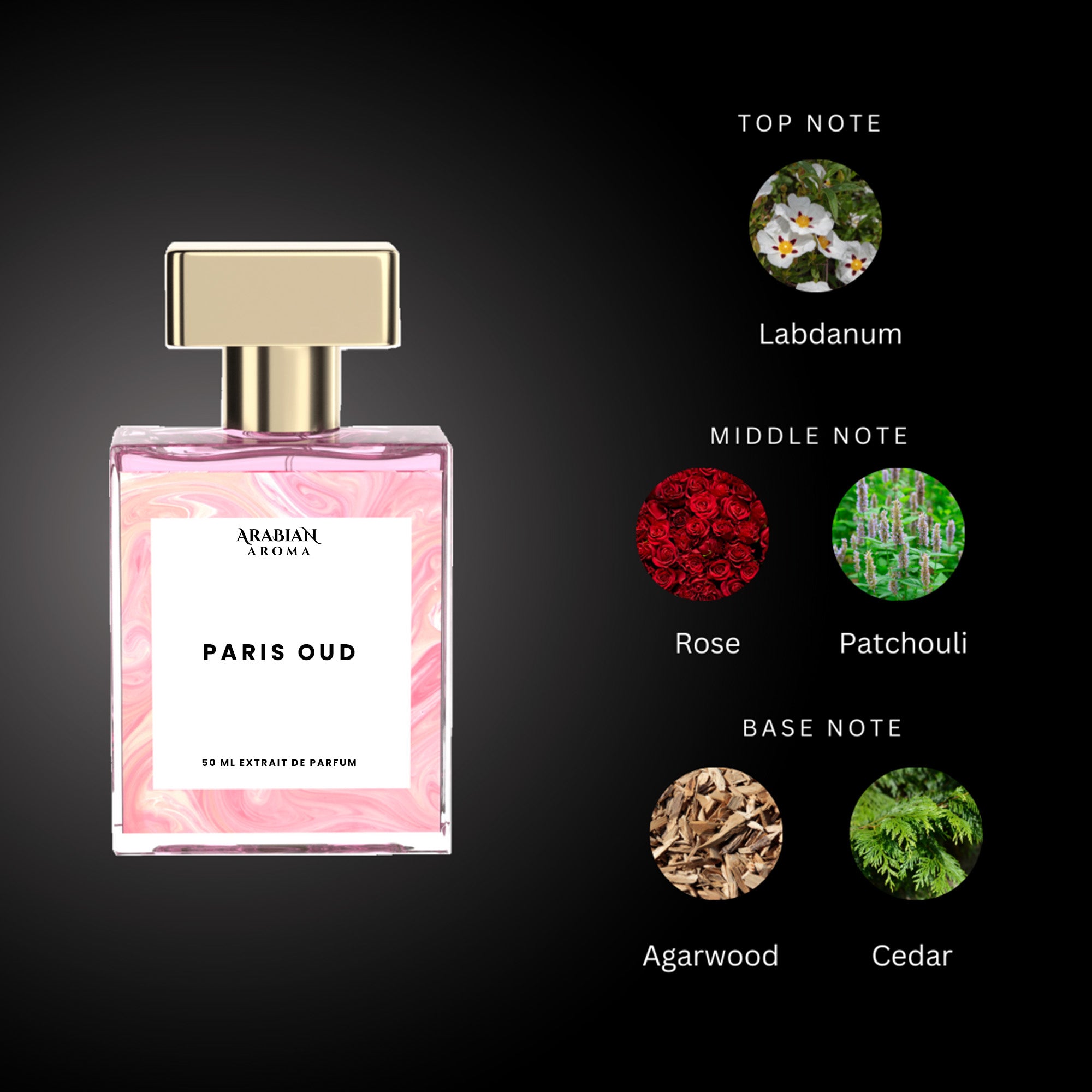 Arabian Aroma Paris Oud