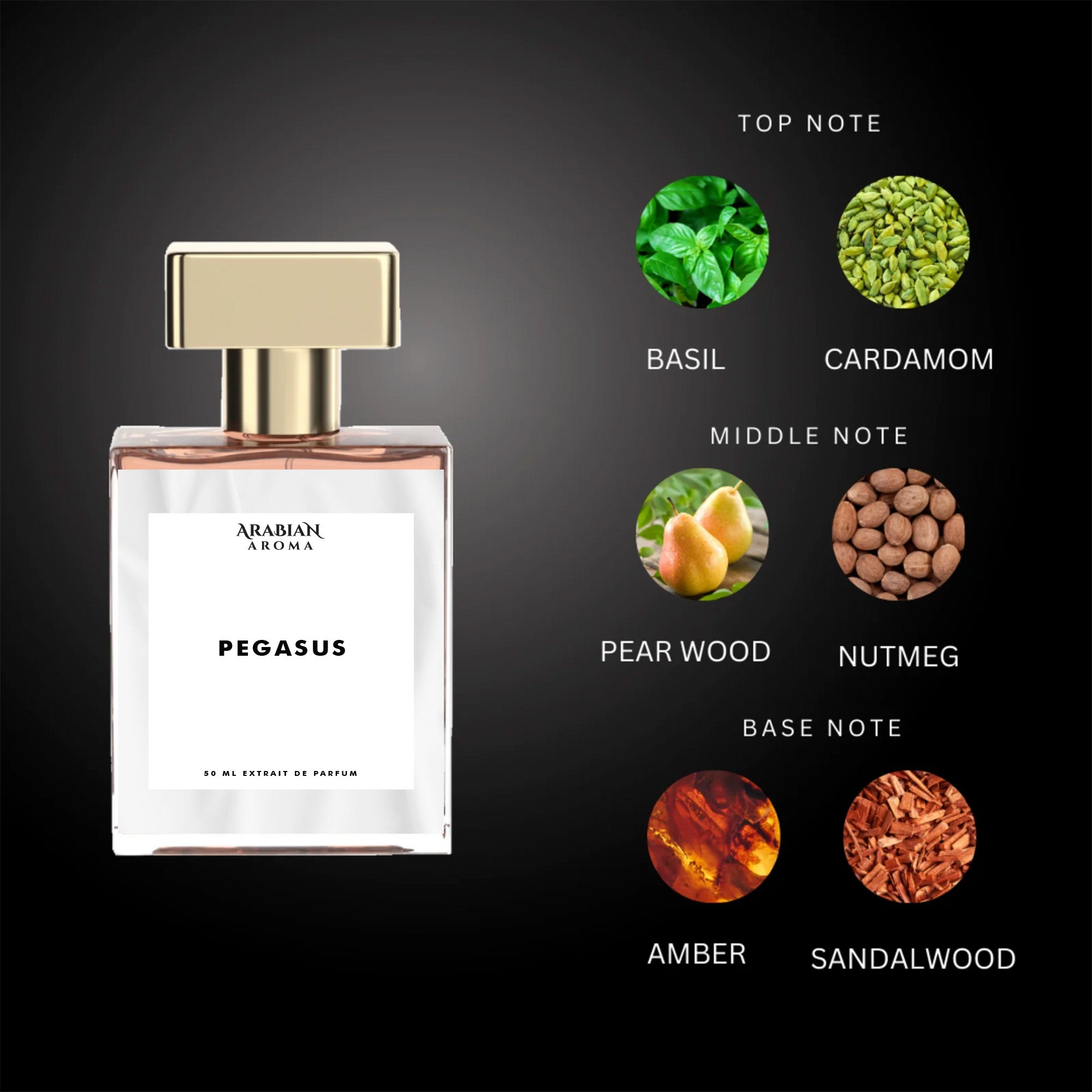 Arabian Aroma Pegasus