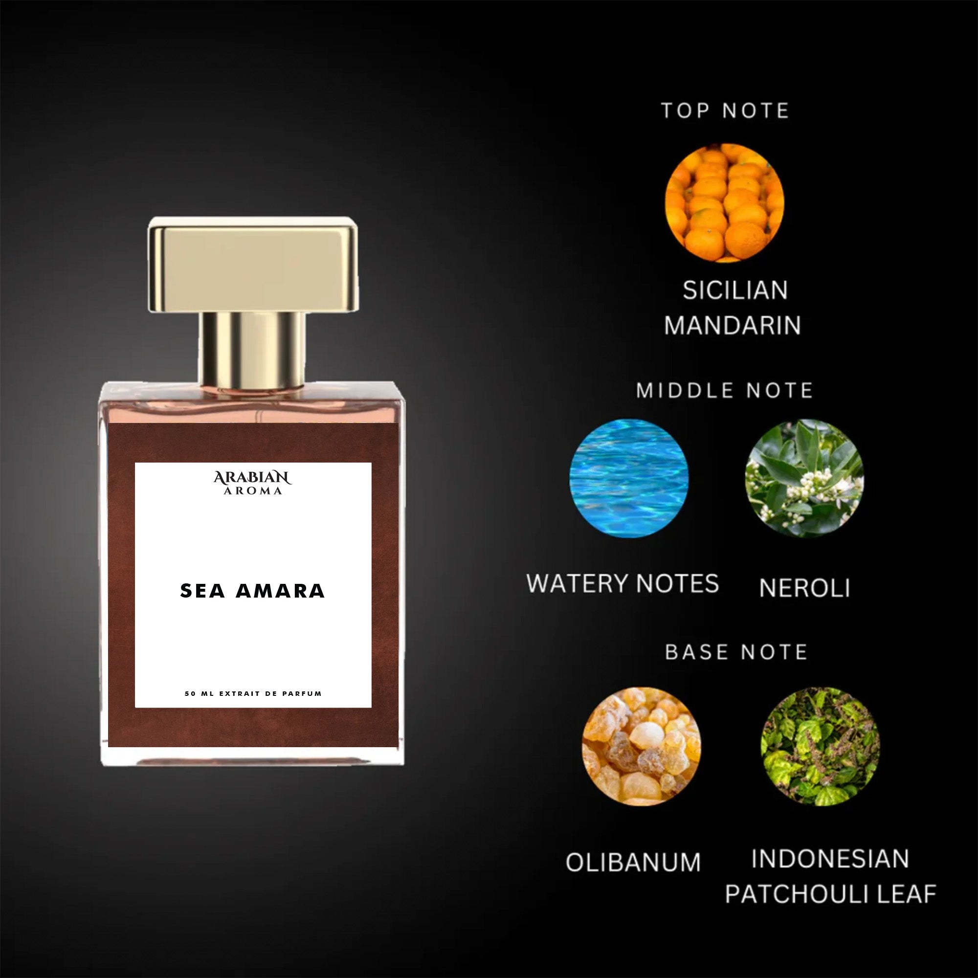 Arabian Aroma Sea Amara