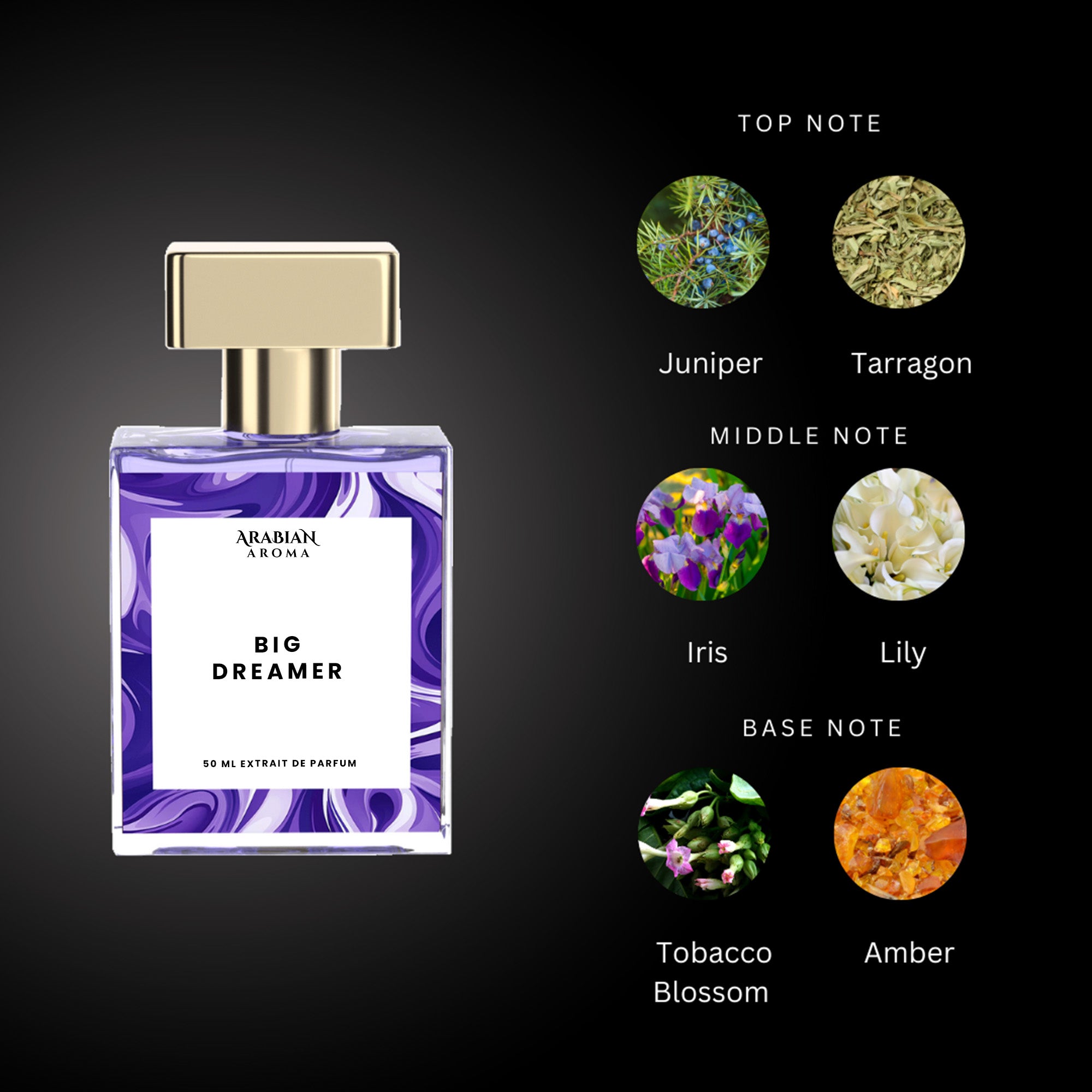 Arabian Aroma Big Dreamer