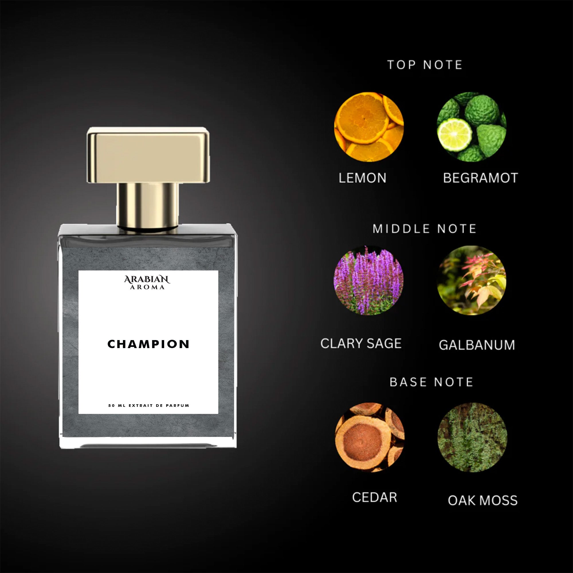Arabian Aroma Champion