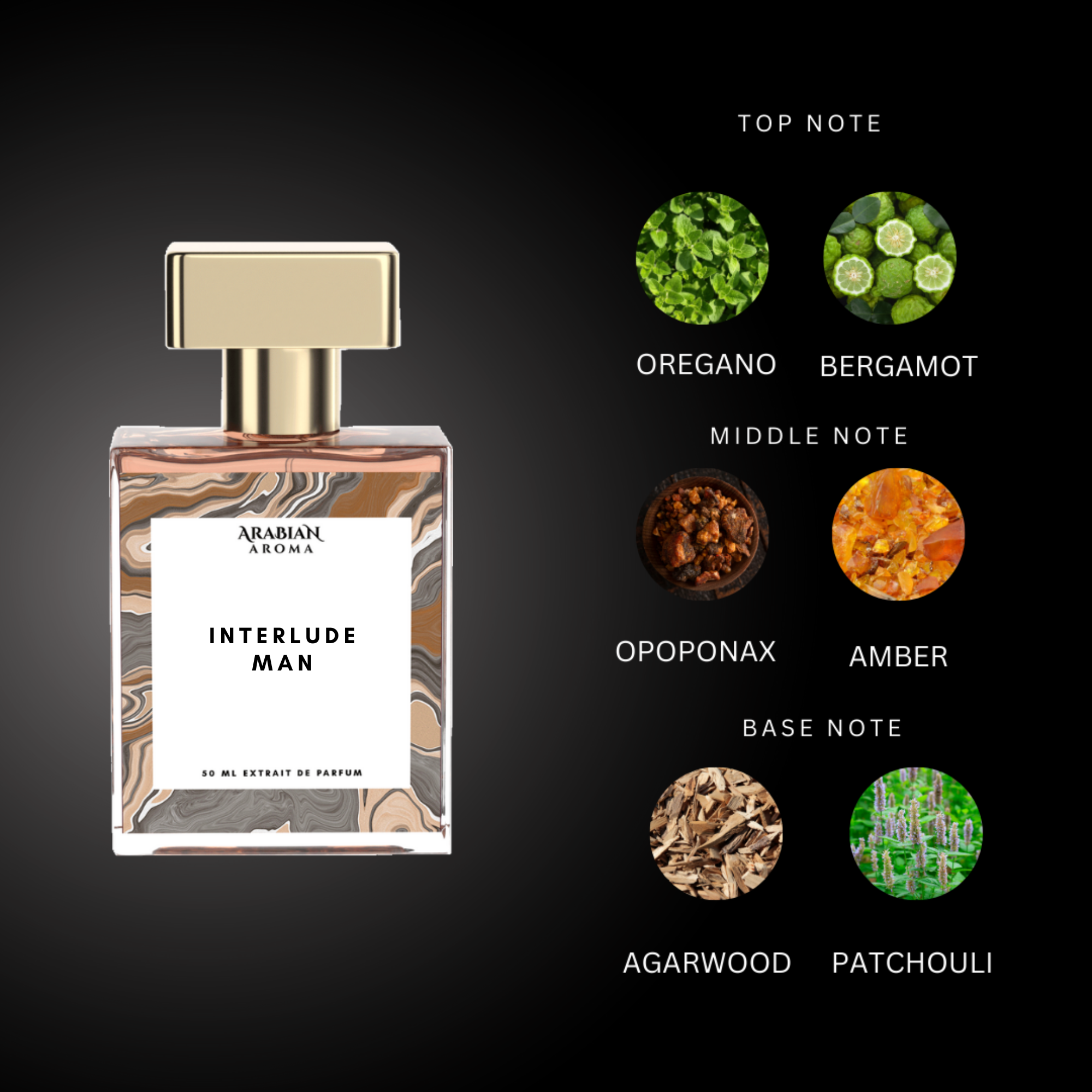 Arabian Aroma Interlude Man