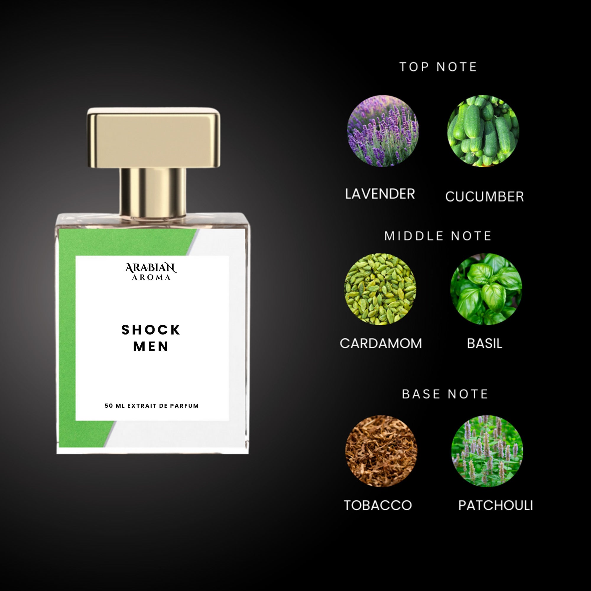 Arabian Aroma Shock Men