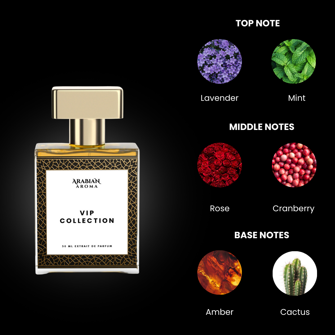 TOMY HILFIGER TOMY BOY