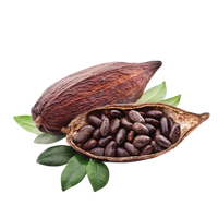 Cacao