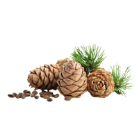 Cedar