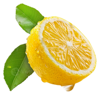 citrus