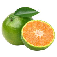 Green Mandarin