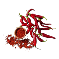 Red Chili pepper