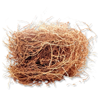 Vetiver