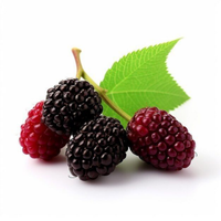 Wild Berries